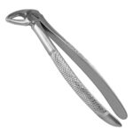 English Pattern Extracting Forceps #33A