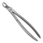 English Pattern Extracting Forceps #67A