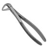 English Pattern Extracting Forceps #74N