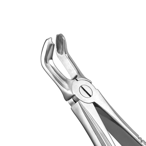Extraction Forceps 67A English Pattern