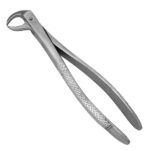 English Pattern Extracting Forceps #86C